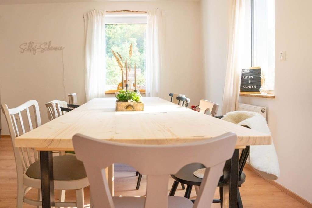 Schlaf-Scheune Auf Islandpferdehof Im Gruenen Steinau an der Straße Esterno foto